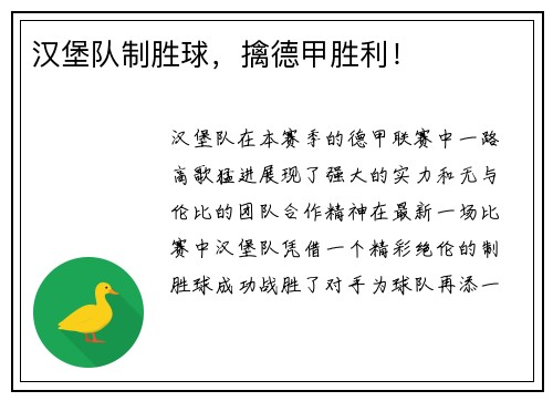 汉堡队制胜球，擒德甲胜利！