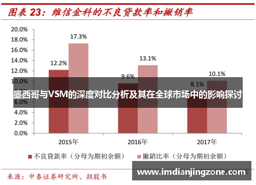 墨西哥与VSM的深度对比分析及其在全球市场中的影响探讨