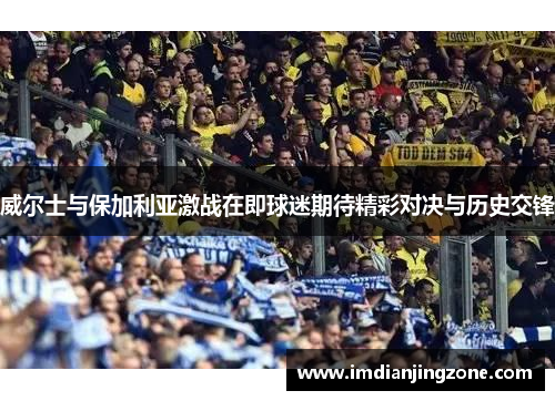 威尔士与保加利亚激战在即球迷期待精彩对决与历史交锋